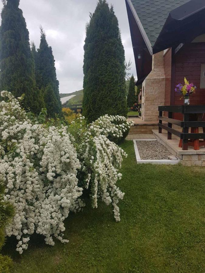 Apartments Hill House Zlatibor Dış mekan fotoğraf